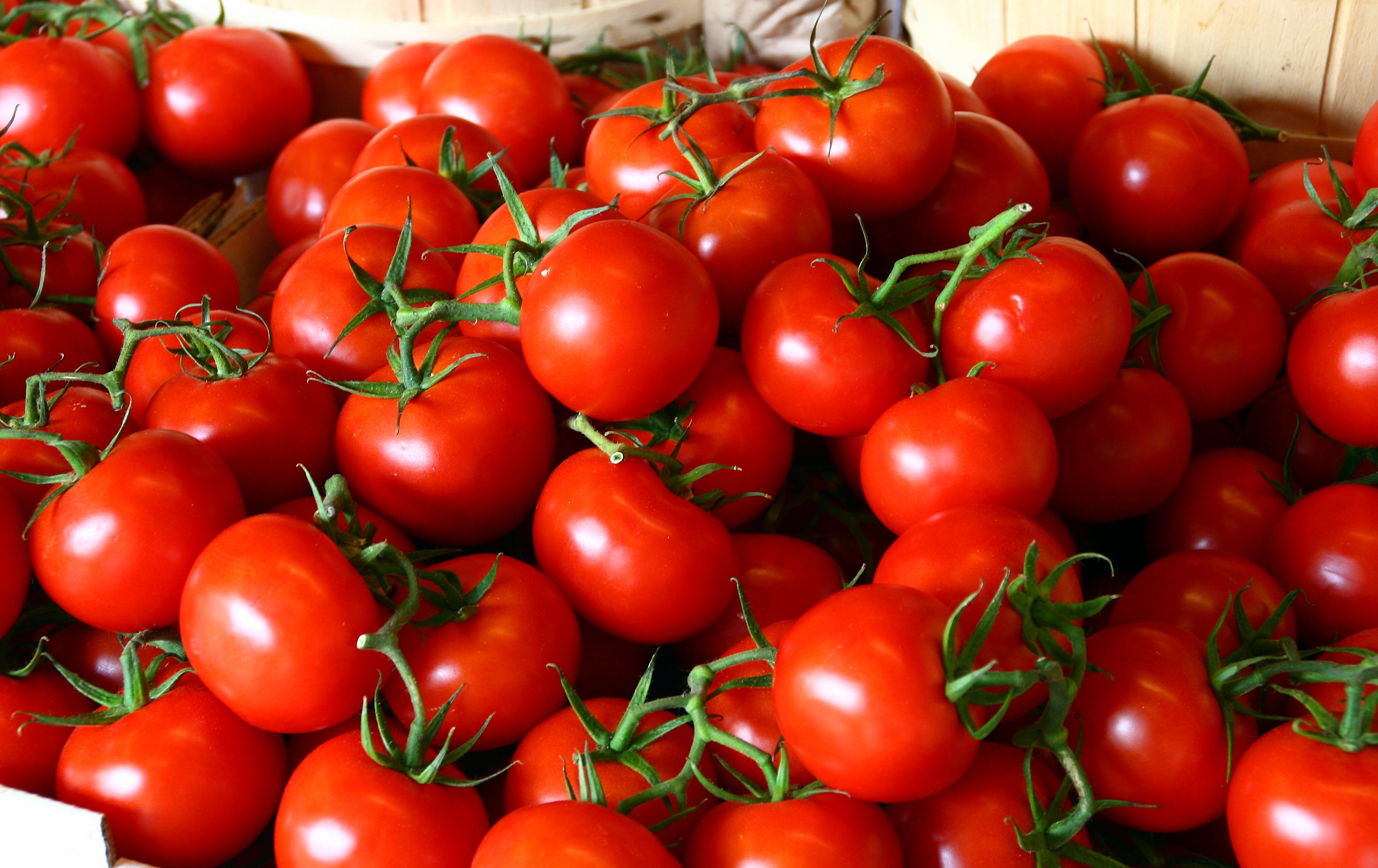 قیمت گوجه فرنگی در بازار چند؟