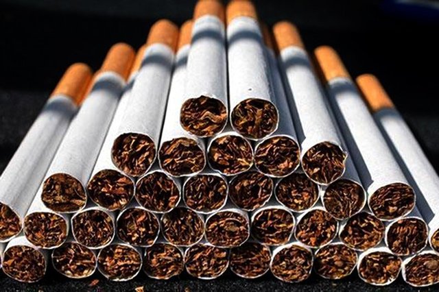 هزینه 15 میلیون دلاری برای واردات کاغذ سیگار