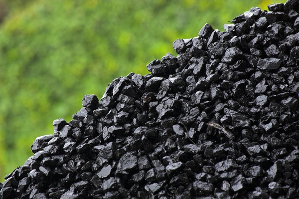 افزایش 33 درصدی تولید کنسانتره زغال سنگ