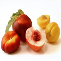 5 فایده شگفت انگیز میوه های هسته دار را بشناسید!