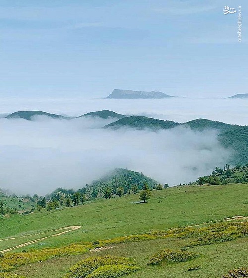 نمایی زیبا از جنگل ابر در شاهرود ( +عکس)