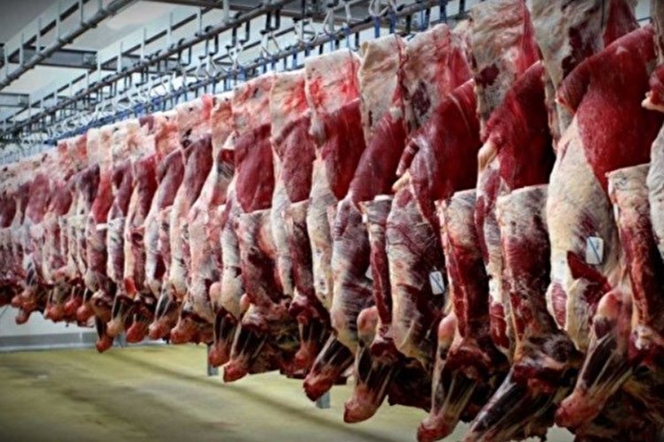 قیمت گوشت قرمز به 65 هزار تومان کاهش می یابد