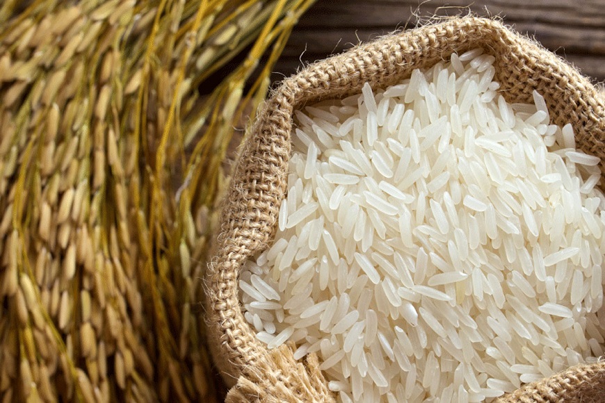 واردات برنج 20 درصد رشد کرد