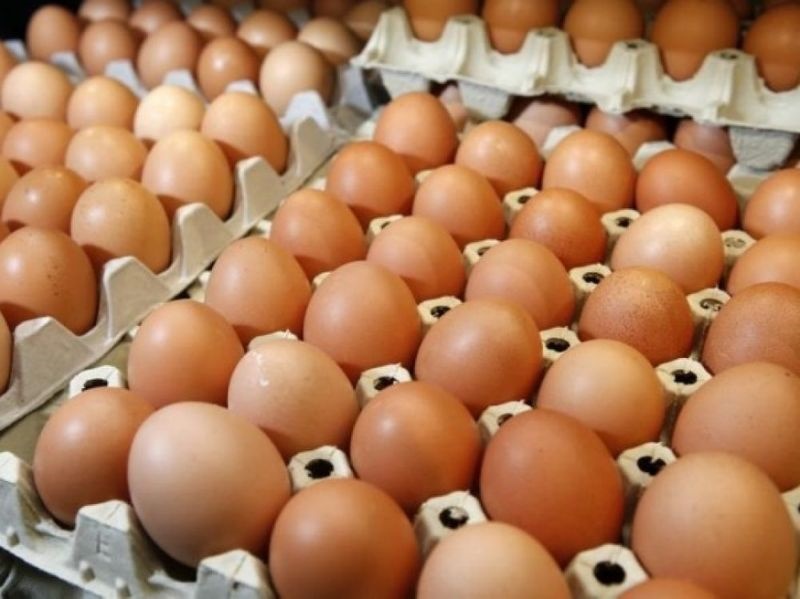صادرات تخم مرغ به 13 هزار تن رسید