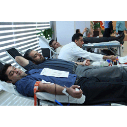 کارکنان بانک اقتصادنوين در پويش اهدای خون مشارکت کردند
