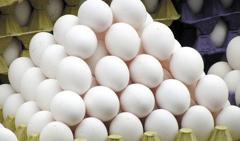صادرات تخم مرغ به افغانستان آزاد شد