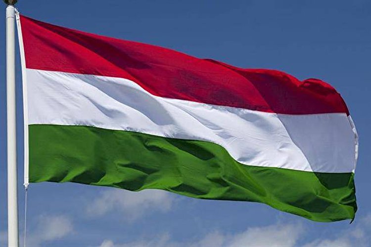 ارزش پول ملی مجارستان سقوط کرد