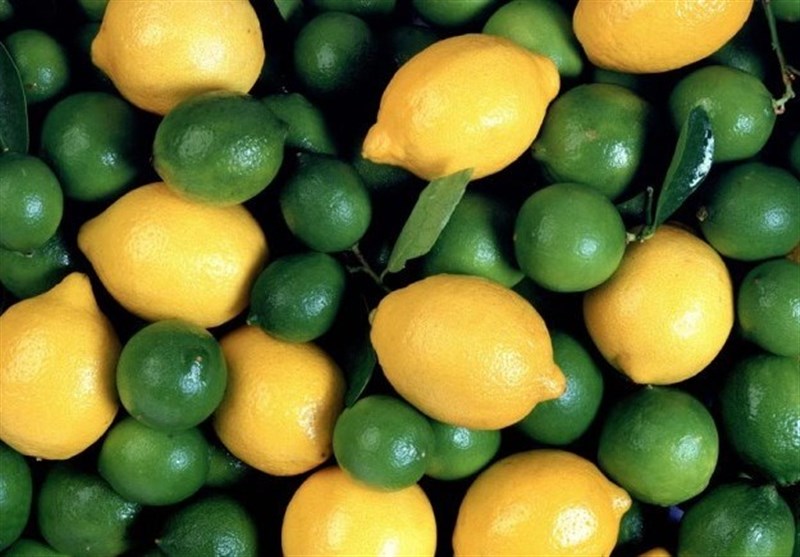 حباب قیمتی لیموترش و لیموشیرین در بازار +قیمت میوه