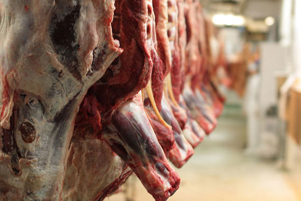 نرخ گوشت گوسفندی به کیلویی۱۱۰هزارتومان رسید