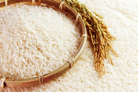 معطلی ۳۰۰ هزارتن برنج وارداتی برای دریافت ارز