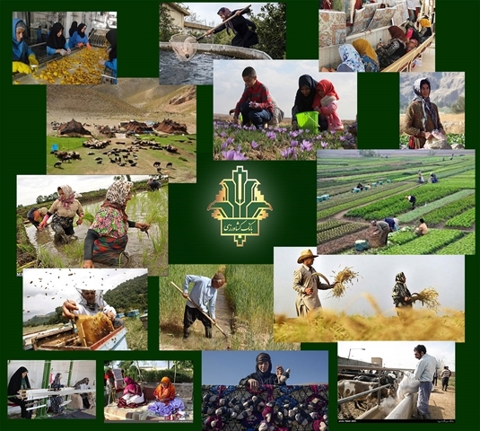 ایجاد 1500شغل جدید با حمایت بانک کشاورزی در استان بوشهر
