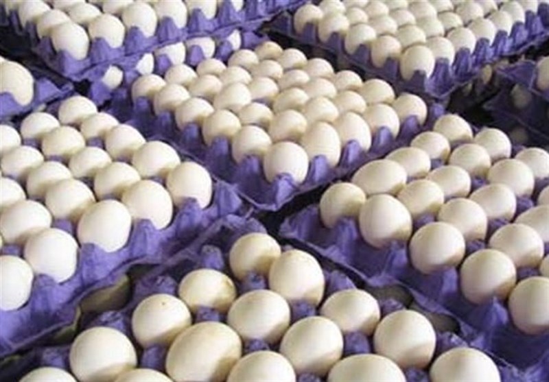 قیمت تخم مرغ در بازار هر شانه 3 هزار تومان افت کرد
