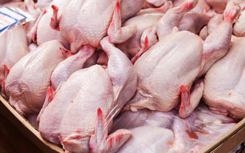 دولت روزانه هزار تن مرغ مازاد مرغداران را خریداری می‌کند