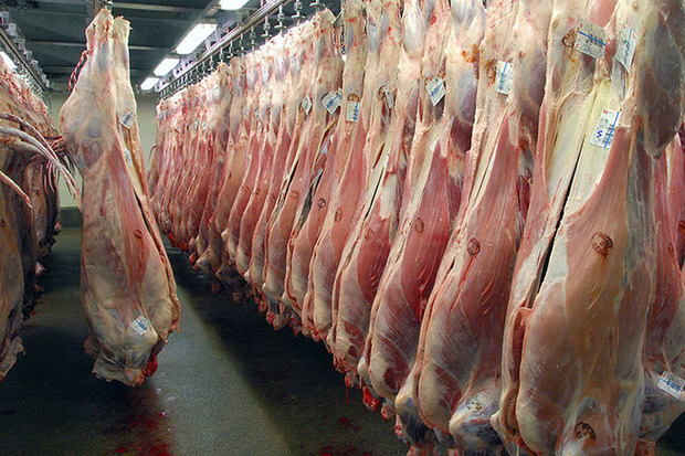 قیمت هر کیلو گوشت گوسفندی باید ۸۰ هزار تومان باشد