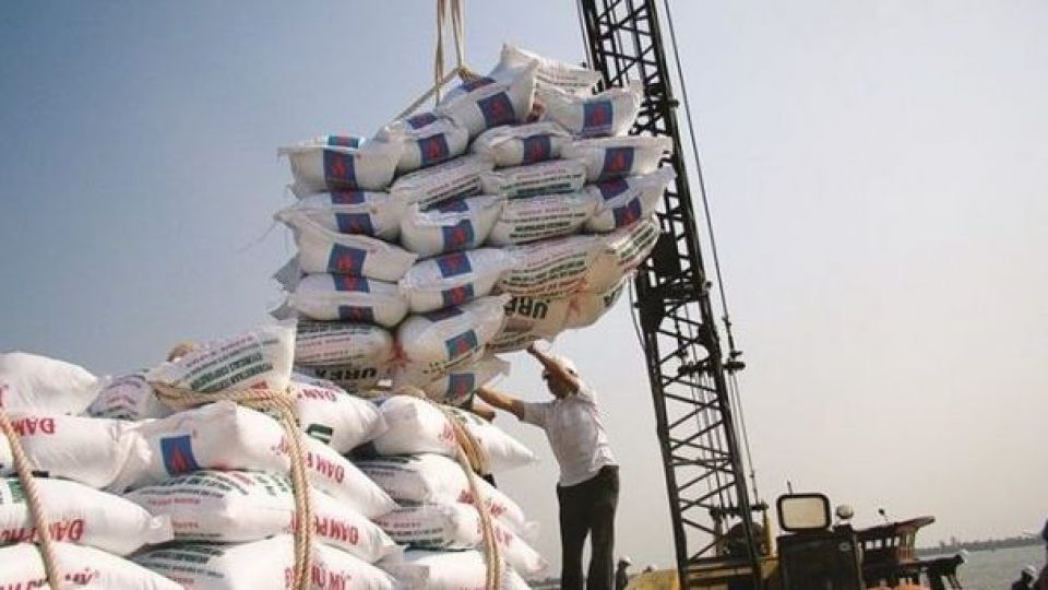 شهریور ماه واردات برنج ممنوع می شود