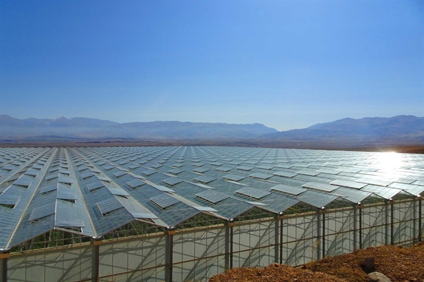 احداث بزرگ ترین پروژه کشت گلخانه ای شیشه ای خاورمیانه با حمایت بانک کشاورزی