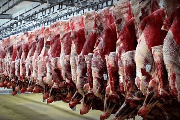 توزیع گوشت گوسفندی با قیمت ۱۰۸ تا ۱۱۲ هزار تومان بین مغازه‌داران