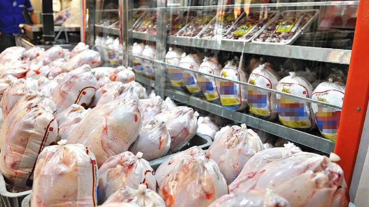 دو روز گدشته ۱۱ هزار و ۹۸۲ تن گوشت مرغ گرم در بازار عرضه شد