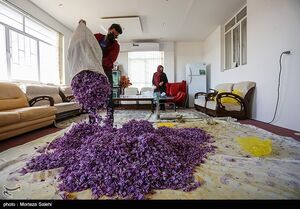 تغییر محدوده نوسان قیمت گواهی سپرده زعفران در بورس کالا