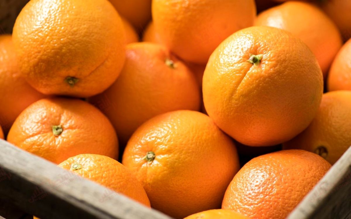 پیش بینی تولید ۴.۲میلیون تن پرتقال و نارنگی در کشور