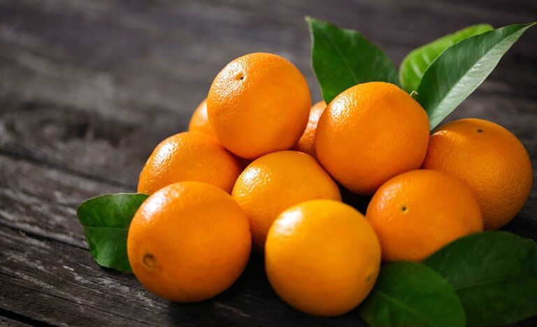 گرانفروشی عجیب دولت در فروش پرتقال!