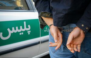 دستگیری عامل ۲ قتل در کمتر از ۲۴ ساعت
