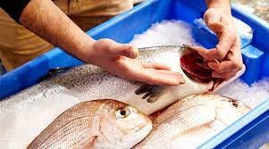 نحوه‌ی تشخیص انواع ماهی تازه و صید روز از ماهی فاسد