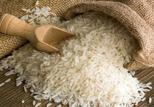 افزایش ۱۷ هزار تنی ذخایر استراتژیک برنج کشور