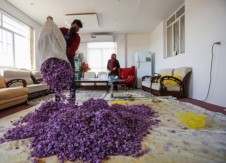 راه اندازی قرارداد اختیار معامله زعفران از امروز در بورس کالا
