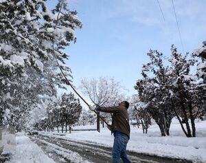 هشدار سازمان هواشناسی درباره بارش برف و باران در ۱۵ استان کشور