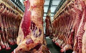 اعلام قیمت گوشت گوساله برای توزیع مجازی