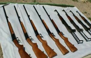 ۶۵ قبضه انواع سلاح در خوزستان کشف شد