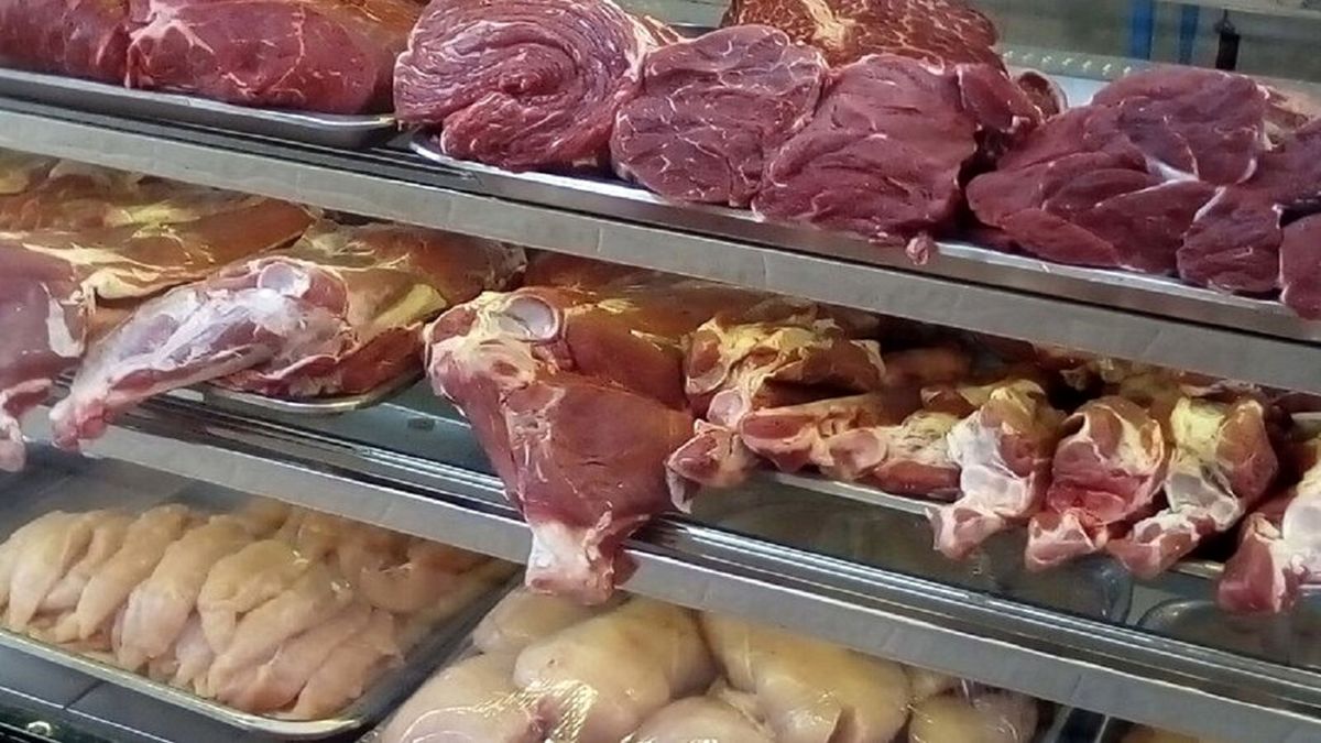 مقصر افزایش قیمت گوشت قرمز کیست؟