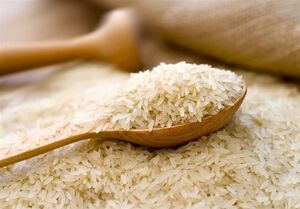 توزیع برنج‌های احتکارشده با نرخ مصوب در بازار