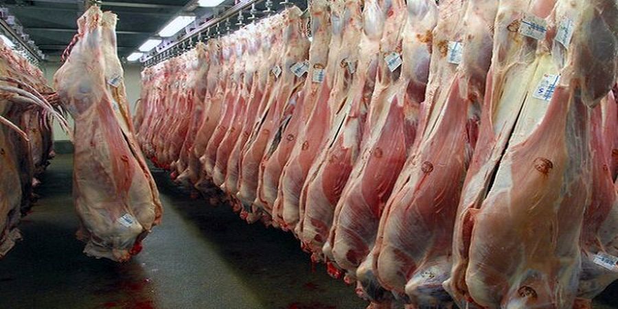 دستور مهم دولت درخصوص واردات گوشت قرمز
