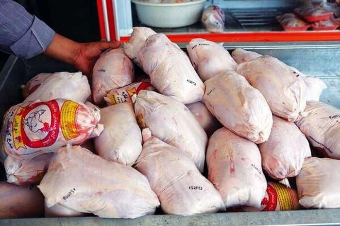 روزانه ۱۲۰۰ تن مرغ در تهران توزیع می‌شود