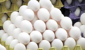 علت توقف صادرات تخم مرغ چیست؟