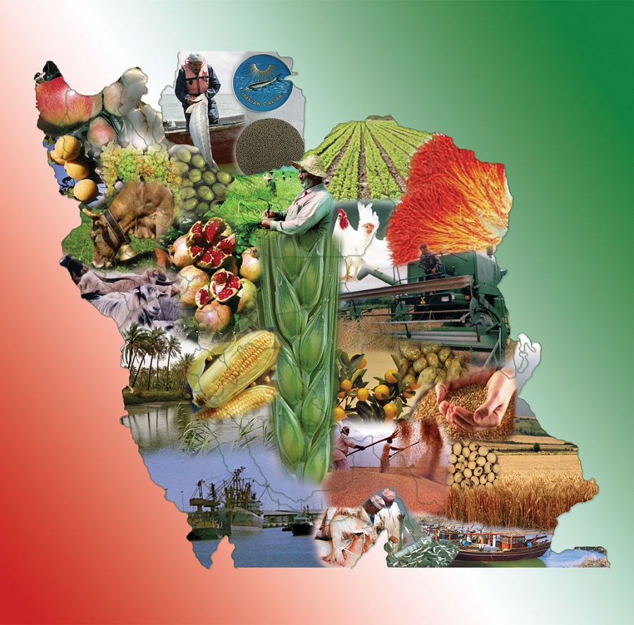 صادرات بخش کشاورزی و غذا 896 میلیون دلار ارز آور کرد