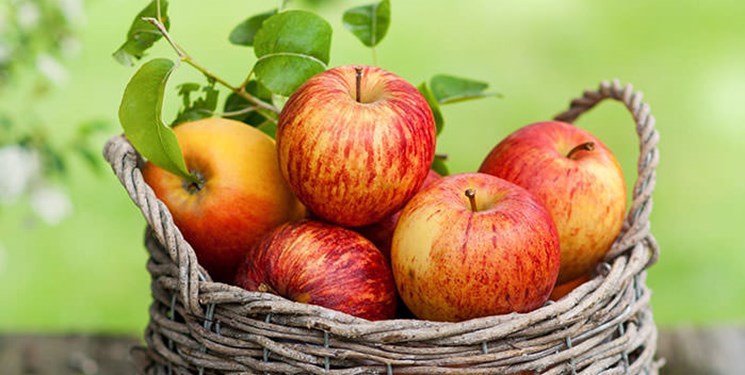 صادرات 62 میلیون دلار سیب از کشور