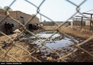 خوزستانی‌ها صف خود را از آشوبگران جدا کردند