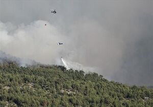 آتش‌سوزی مجدد در جنگل‌های ارسباران