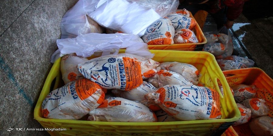ارزان شدن مرغ در بازار