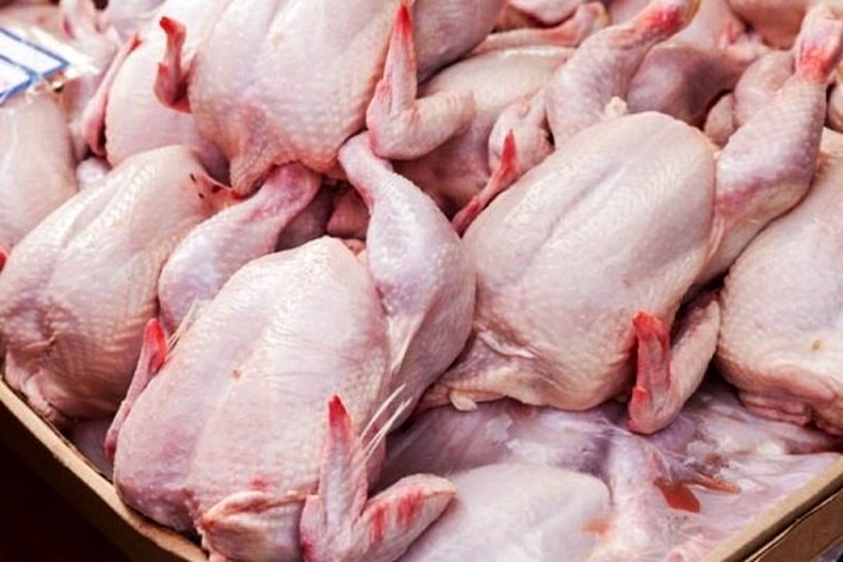 توزیع روزانه ۶ هزار و ۵۰۰ تن مرغ در کشور