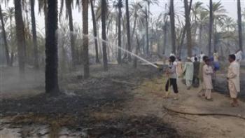 دویست نفر در آتش سوزی بخش دامن ایرانشهر سوختند