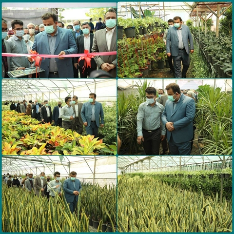 افتتاح واحد تولیدی گل و گیاه با حمایت بانک کشاورزی