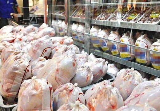 پیش‌بینی کاهش قیمت مرغ در مهرماه