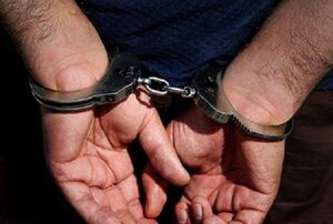 دستگیری زوج سارق با ۱۵ فقره سرقت طلای کودکان