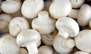 ترفند ساده برای افزایش ذخیره ویتامین D قارچ های خوراکی