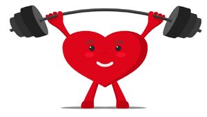 ۷ نکته کلیدی برای محافظت از سلامت قلب