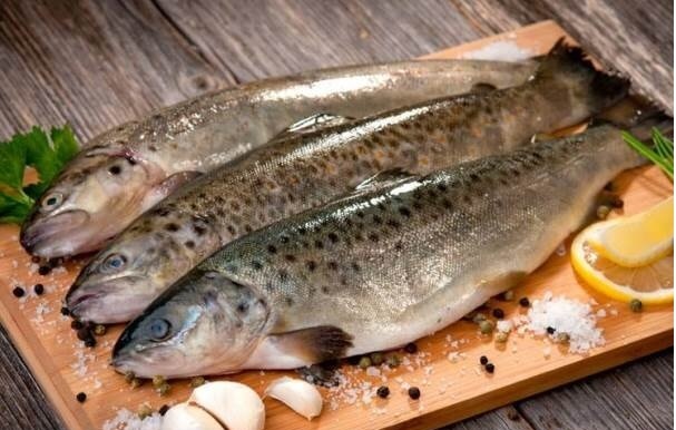 مصرف ماهی از ضایعات عروقی محافظت می‌کند